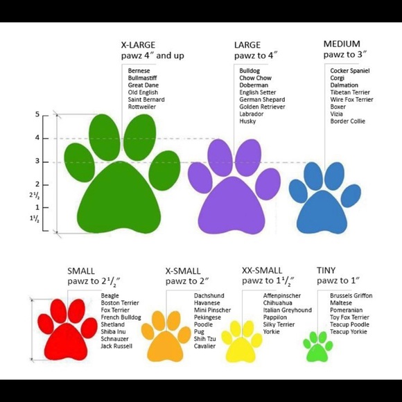 Pawz rubber dog boots - Picture 2 of 3